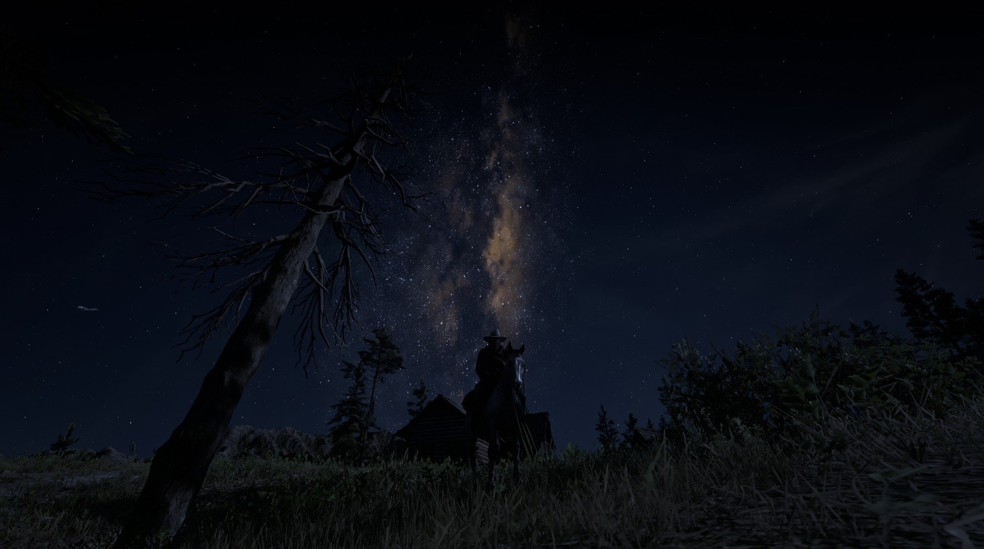 张雨霏赛事中展现顽强拼搏,张雨霏比赛过程