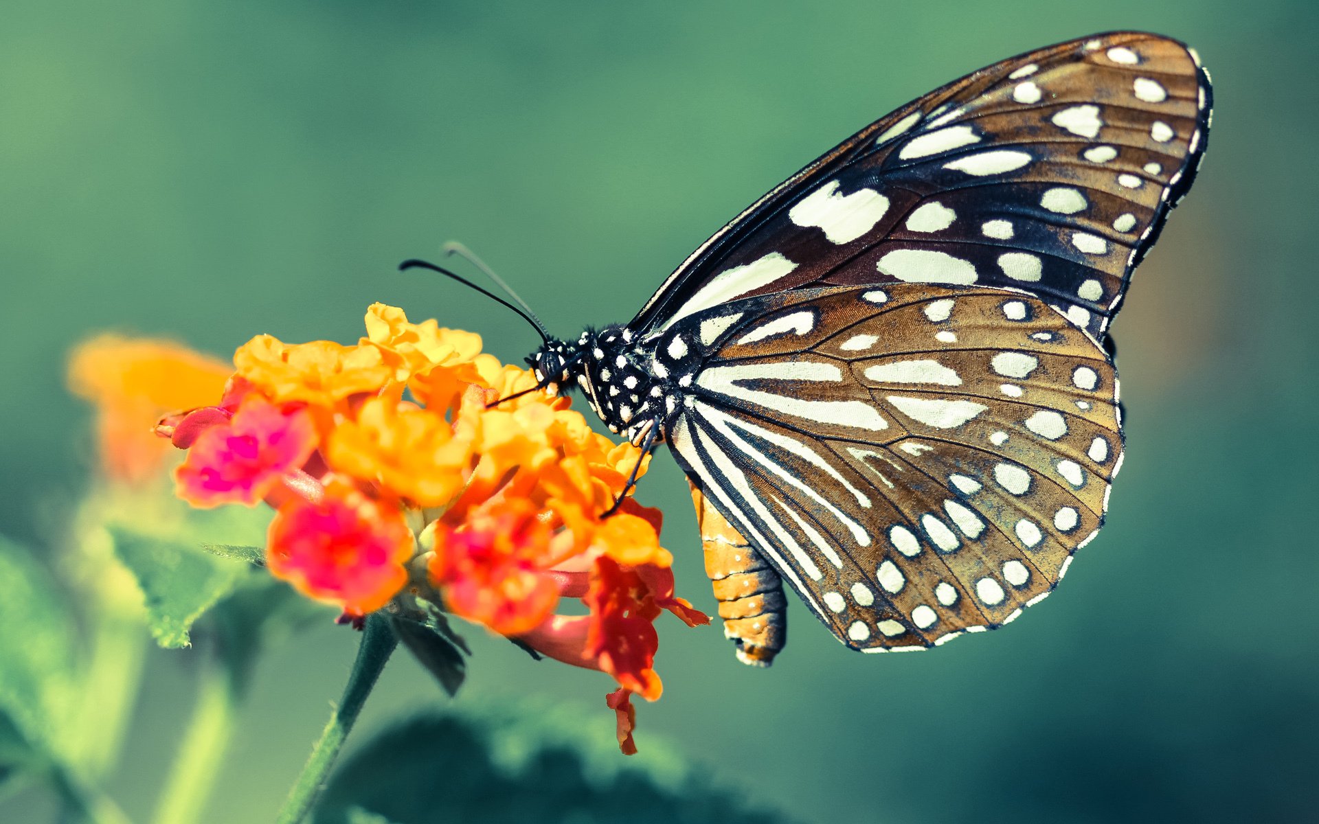 开云体育官网上-球员积极参与社区公益活动树立良好榜样传播体育正能量，为社区体育撰写宣传标语