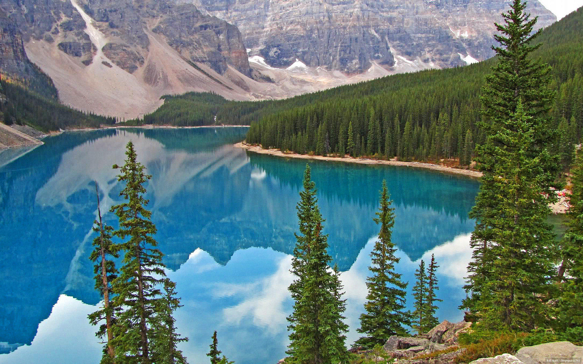 开云app-瑞安的传球与突破，成为全黑队进攻的催化剂，瑞安cs