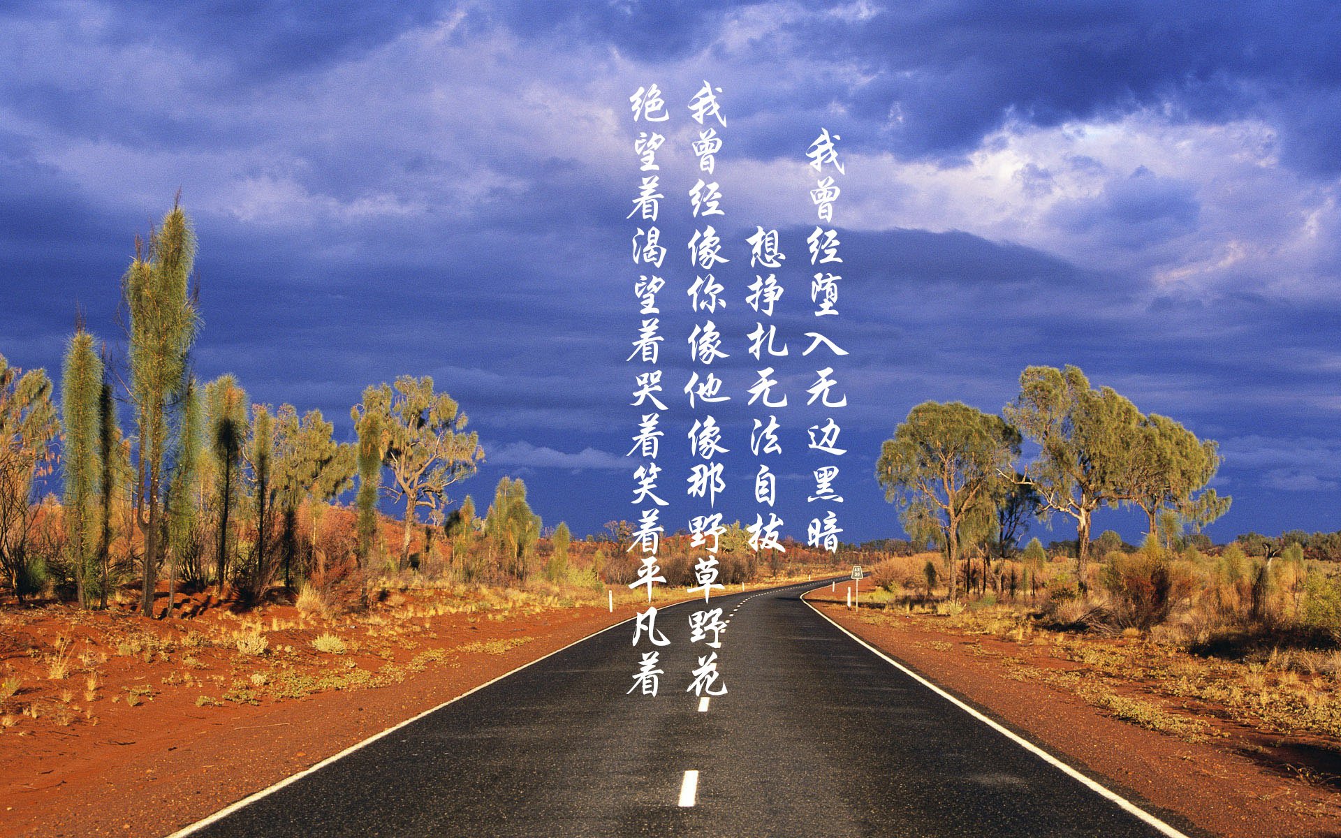 开云体育在线登入-袋鼠队灵活的战术部署，使其成为橄榄球锦标赛中的不容忽视力量