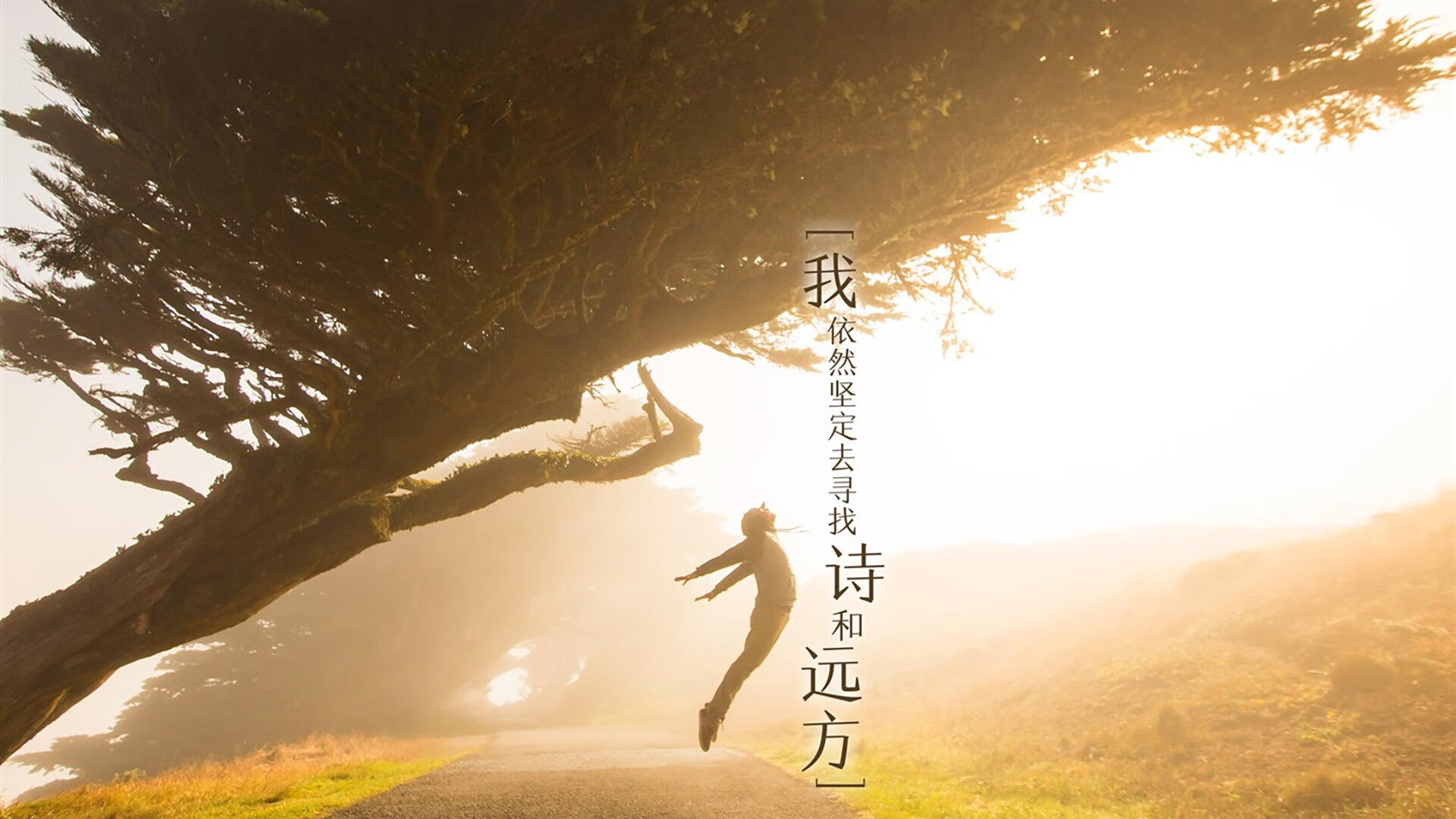 赛尔·阿尔斯塔：以强硬后排与精准抢断帮助南非队建立强大防线