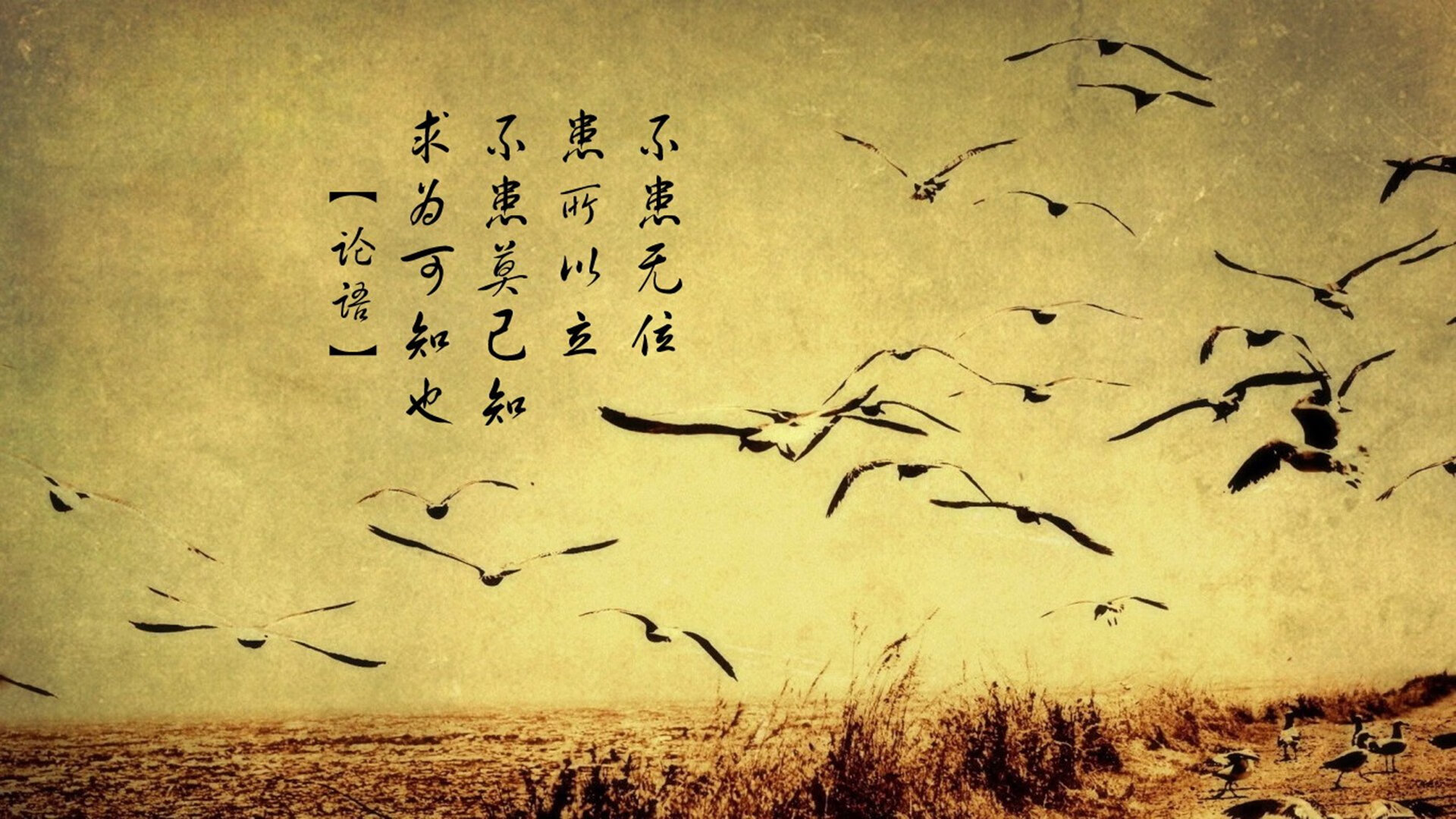 开云体育下载-阿莱克西赛后感谢团队支持与鼓励，阿莱克西亚有多强