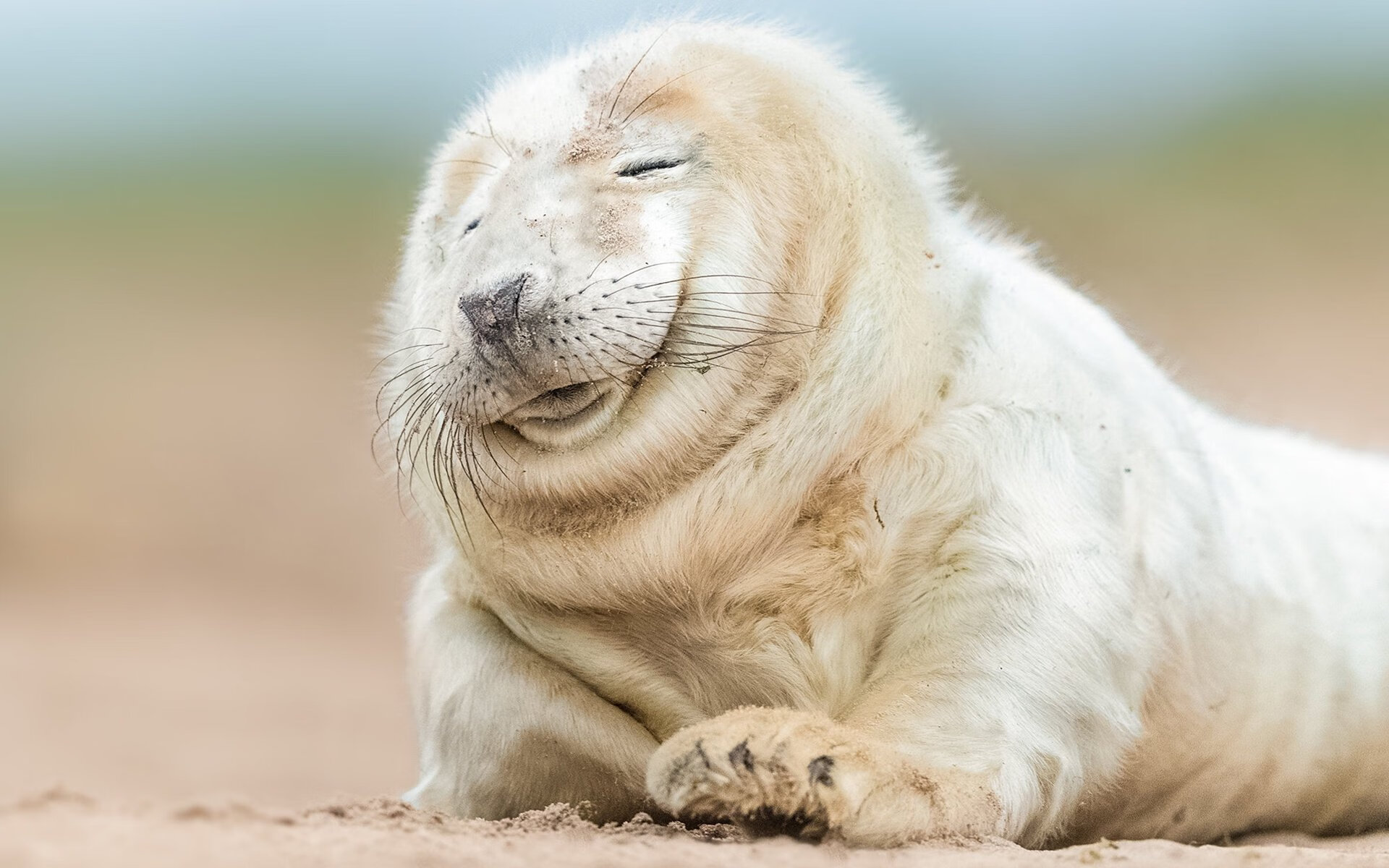 阿莱克西赛后感谢团队支持与鼓励,阿莱克西亚有多强