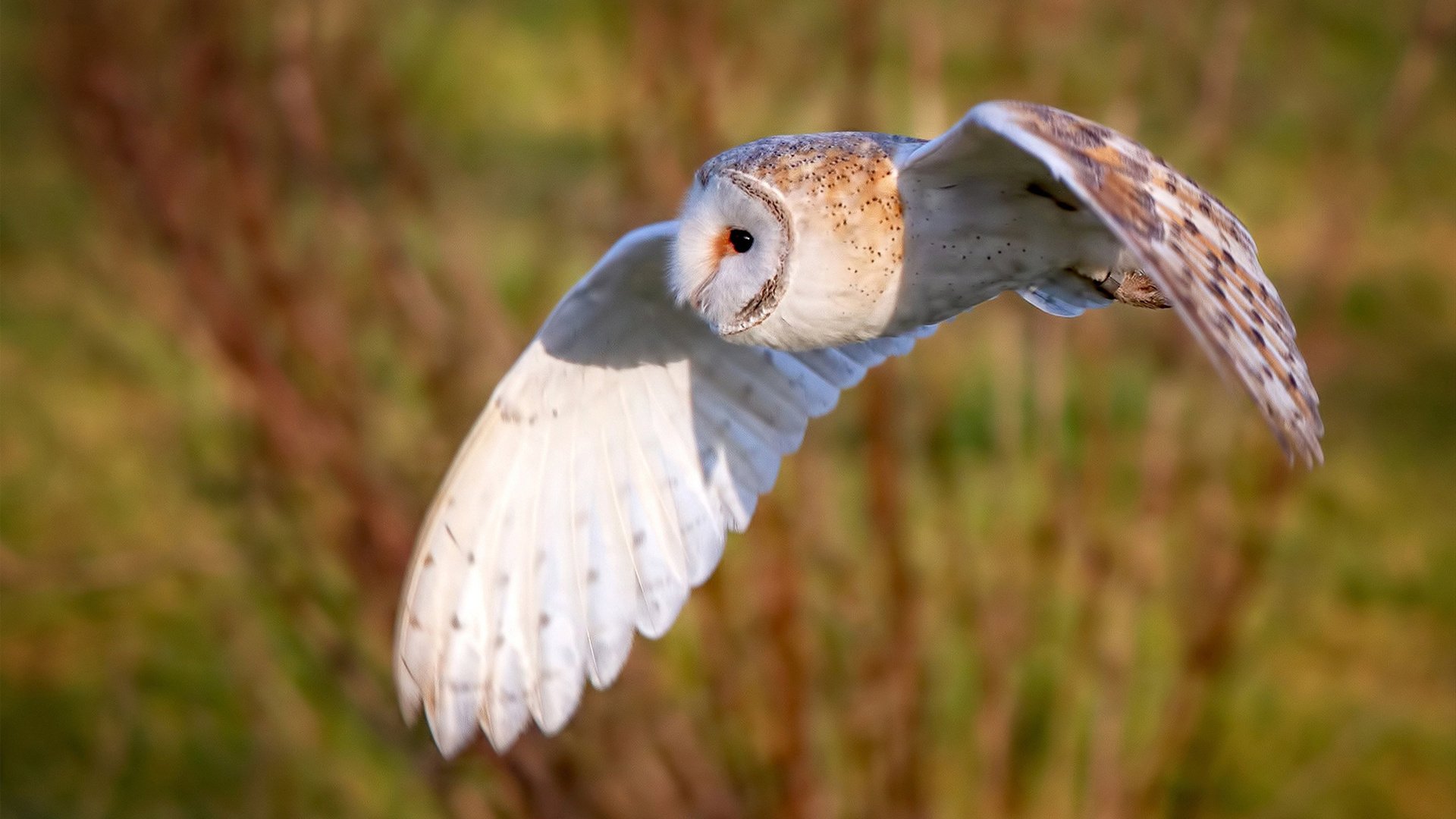 开云体育app注册-中国足球俱乐部梯队之间人才流动机制设计，2021足球俱乐部梯队选拔